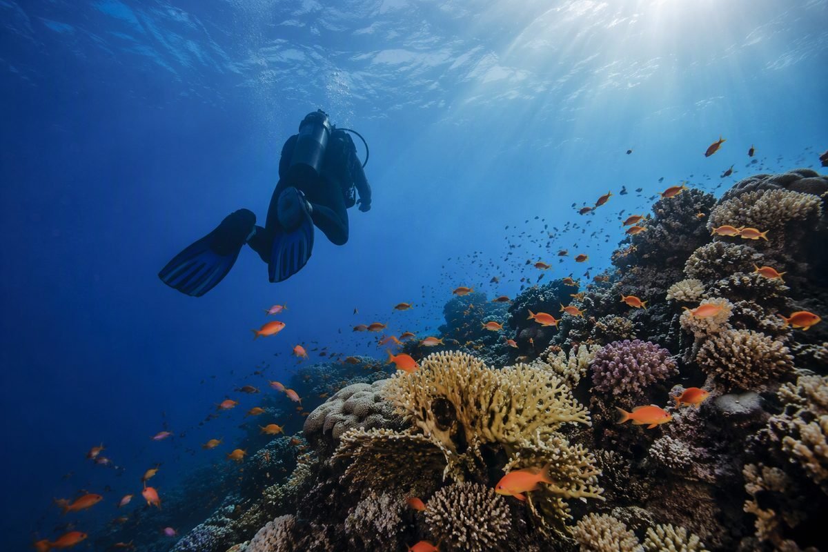 Corso sub PADI Open Water
